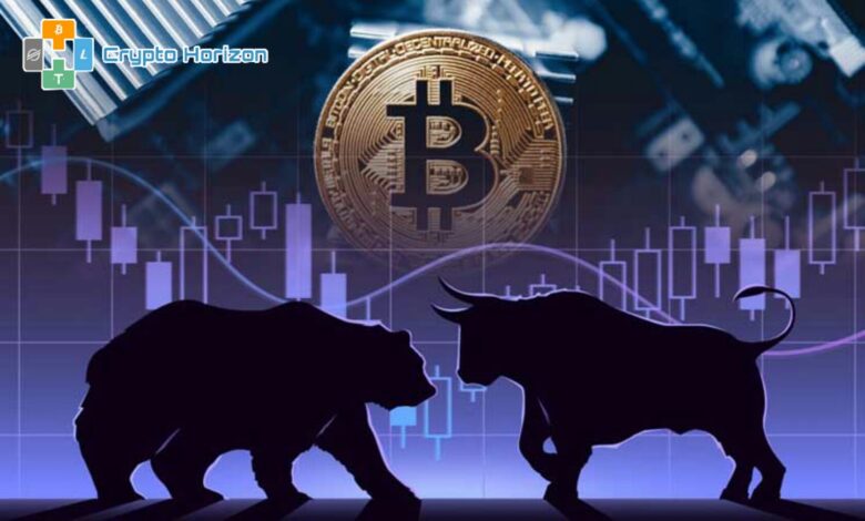 دببة البيتكوين