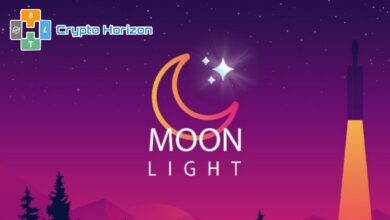 شرح مشروع Moon Light