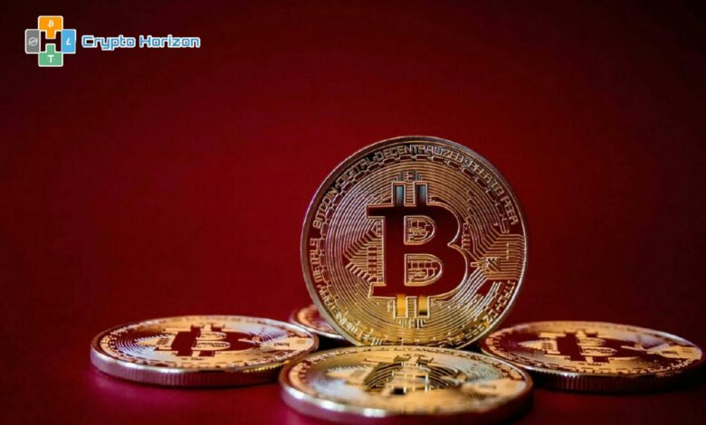 عناوين Bitcoin النشطة