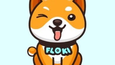 عملة Floki | مشروع عملة Floki وكيفية شرائها
