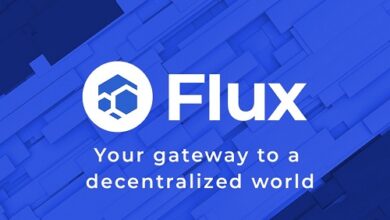عملة Flux | شرح مشروع عملة Flux