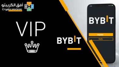 برنامج VIP منصة ByBit