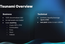 ملخص AMA ل Tsunami 2.0 مع Denis | المطور الرئيسي لتسونامي