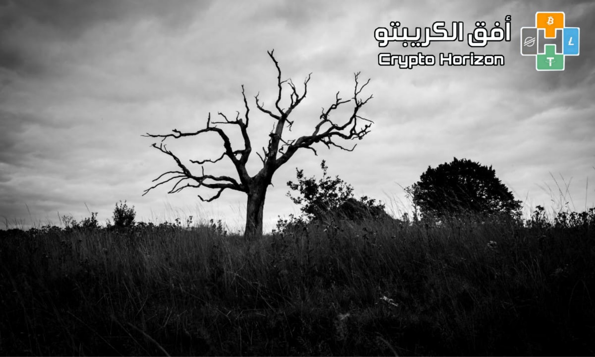 البيتكوين