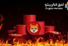 شيبا اينو