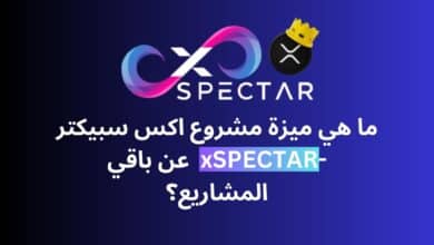 ماذا يقدم مشروع اكس سبيكتر -xSPECTAR لمستخدمي بلوكشين XRPL؟