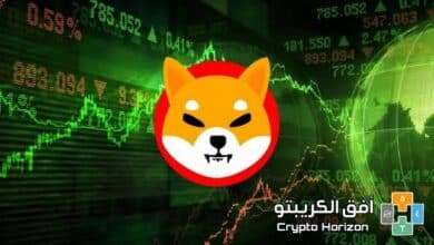 شيبا اينو